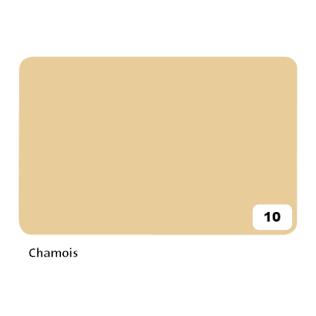 Fotokarton Folia 300gr 50x70cm 10 chamois