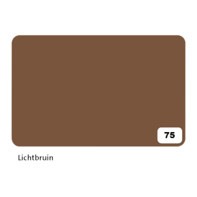 Fotokarton Folia 300gr 50x70cm 75 reebruin