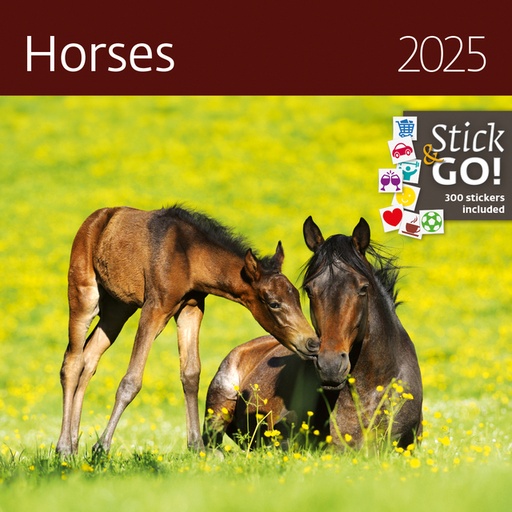 [1406180] Kalender 2027 Helma 365 30x30cm paarden