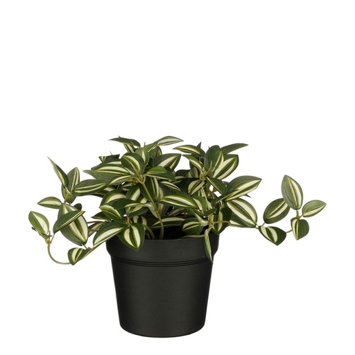 [1439294] Kunstplant Mica Tradescantia in pot groen 16x16cm