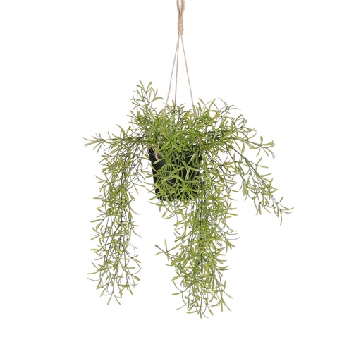 [1439295] Kunstplant Mica Rhipsalis hangend in pot groen Ø9,5cm 40x20cm