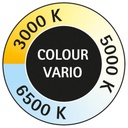 495411p6