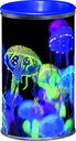 1430648p2
