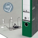 500316P2