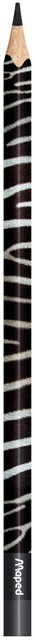 640453p2