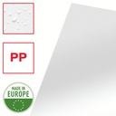 502962P5