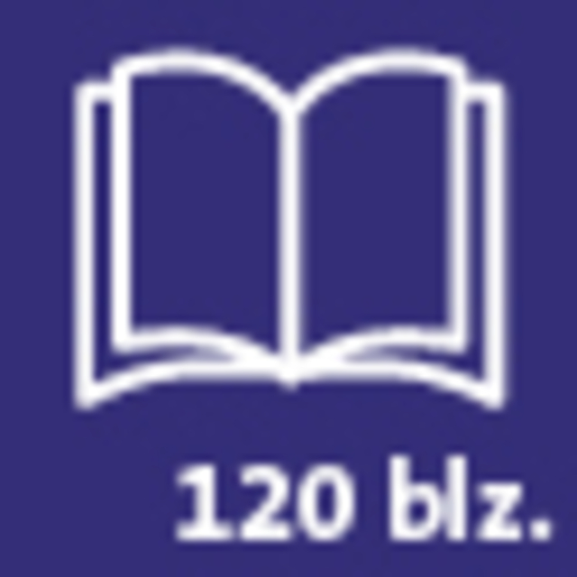 Blz120