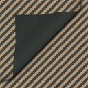 1420233p1
