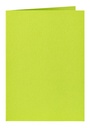 Correspondentiekaart Papicolor dubbel 105x148mm appelgroen pak à 6 stuks