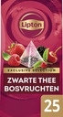 Thee Lipton Exclusive bosvruchten 25x2gr