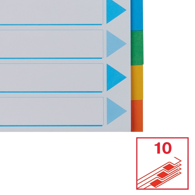 Tabbladen Esselte Standaard A4 10-delig karton 11-rings met voorblad assorti