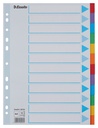 Tabbladen Esselte Standaard A4 12-delig karton 11-rings met voorblad assorti