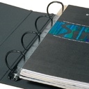 Opbergstrip Djois filestrip A4 295mm 2/4rings transparant 50 stuks