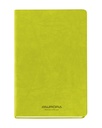 Notitieboek Aurora Capri A5 192blz lijn 80gr groen