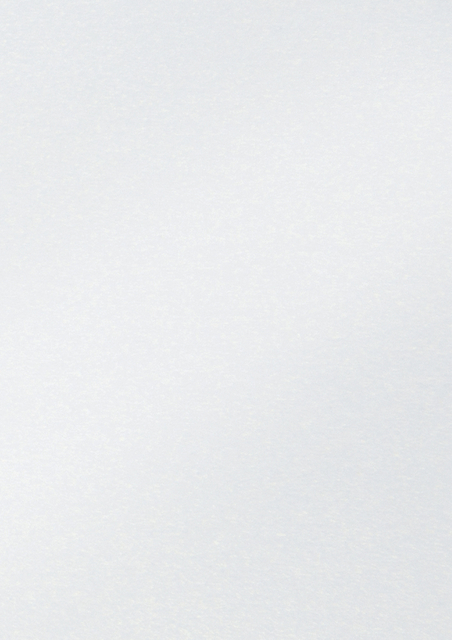 Fotokarton Folia 250gr 50x70cm parelmoer 00 wit