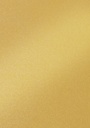Fotokarton Folia 250gr 50x70cm parelmoer 65 goud