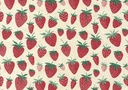 Apparaatrol Strawberry 200mx30cm