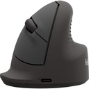 Ergonomische muis Fellowes Breyta verticaal draadloos medium rechts
