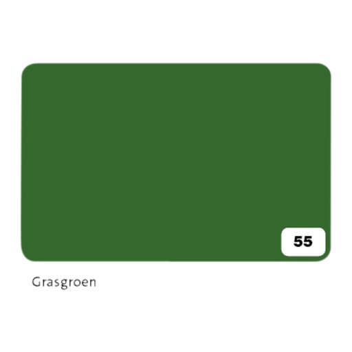 [141684] Fotokarton Folia 2-zijdig 50x70cm 300gr nr55 grasgroen