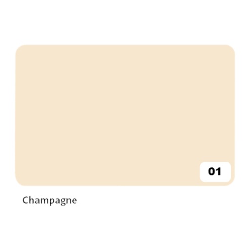 [141691] Fotokarton Folia 2-zijdig 50x70cm 300gr nr01 champagne