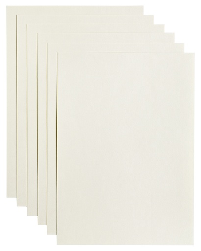 [746336] Kopieerpapier Papicolor A4 100gr 12 vel anjerwit