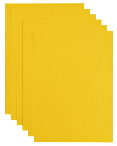 [746338] Kopieerpapier Papicolor A4 100gr 12 vel dottergeel