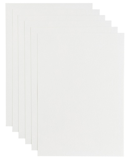 [746344] Kopieerpapier Papicolor A4 100gr 12 vel wit