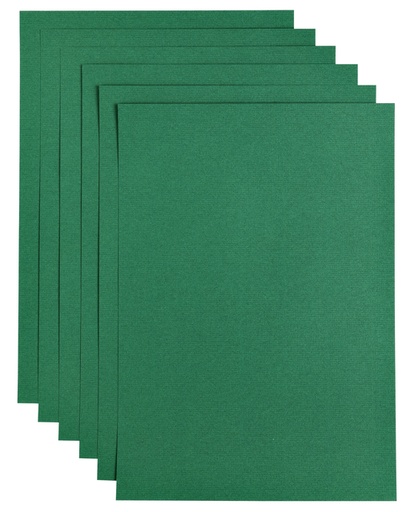 [746346] Kopieerpapier Papicolor A4 100gr 12 vel dennengroen