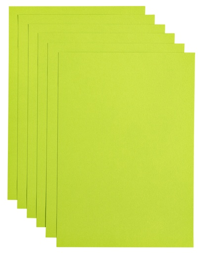 [746349] Kopieerpapier Papicolor A4 100gr 12 vel appelgroen