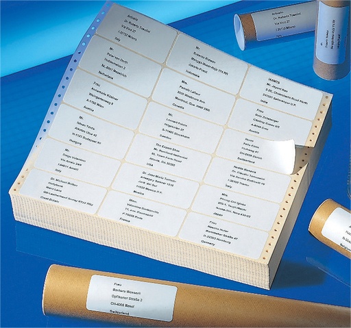 [817388] Etiket Avery Zweckform T3014 102x36mm 1-baans wit 4000 stuks