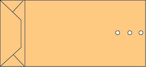 [180966] Envelop Quantore monsterzak 100x245x40mm bruin 250 stuks