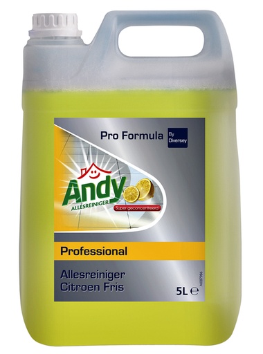 [891664] Allesreiniger Andy citroen fris 5 liter