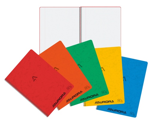 [011325] Schrift Aurora A4 ruit 5x5mm 120 pagina's 80gr assorti