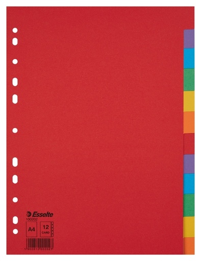 [270152] Tabbladen Esselte Economy A4 12-delig karton 11-rings assorti