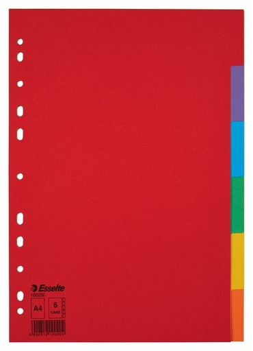 [270153] Tabbladen Esselte Economy A4 6-delig  karton 11-rings assorti