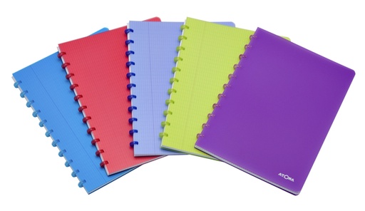 [1386899] Schrift Atoma A4 ruit 5x5mm 144blz 90gr PP transparant assorti