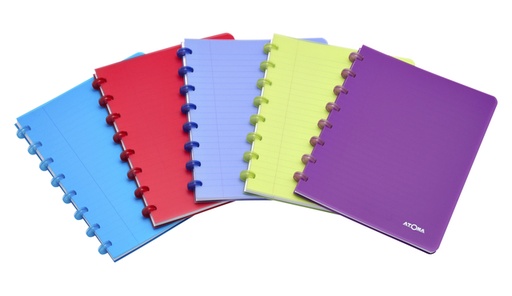 [1386901] Schrift Atoma A5 ruit 5x5mm 144blz 90gr PP transparant assorti