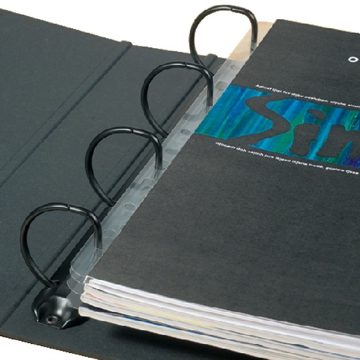 [314606] Opbergstrip Djois filestrip A4 295mm 2/4rings transparant 50 stuks