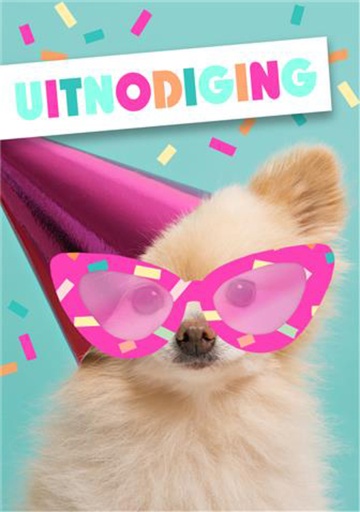 [1404498] Wenskaart Hallmark uitnodiging hond met zonnebril pak à 5 stuks