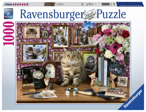 [1386583] Puzzel Ravensburger Mijn katjes 1000 stukjes
