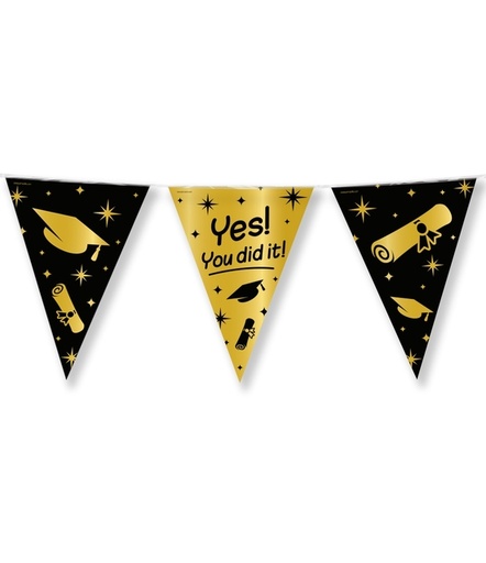 [1436784] Classy Party flags foil You did it