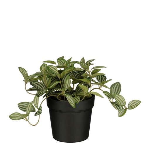 [1433007] Kunstplant Mica Tradescantia in pot 16x16cm