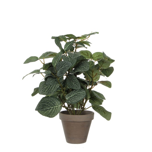 [1433008] Kunstplant Mica Pilea in pot Ø11,5cm 35x25cm