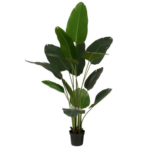 [1433010] Kunstplant Mica Bananen boom in plastic pot 180x30cm