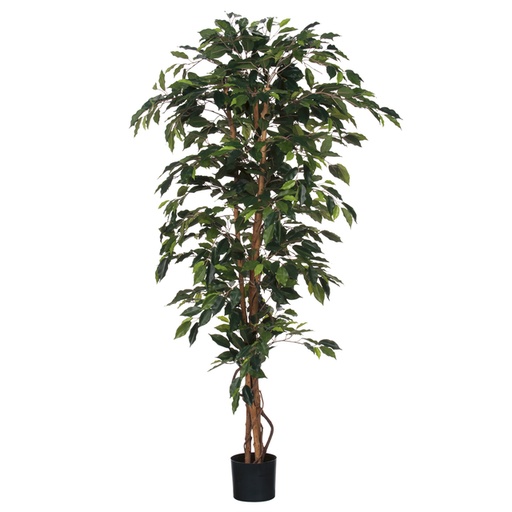 [1433017] Kunstplant Mica Ficus in plastic pot 180x100cm