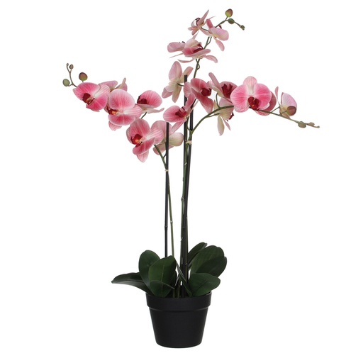 [1433019] Kunstplant Mica Phalaenopsis orchideeën roze in plastic pot 79x51cm