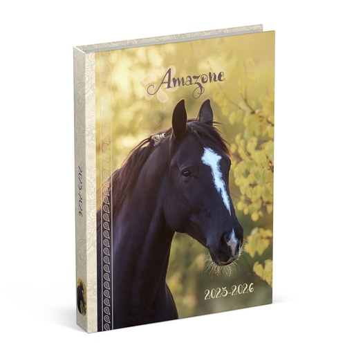 [1435733] Schoolagenda 25-26 Lannoo Horses 1dag/1pagina geel
