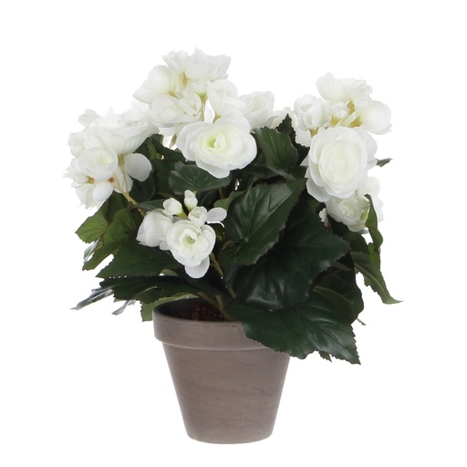 [1439305] Kunstplant Mica Begonia wit in pot Stan grijs Ø25 30cm