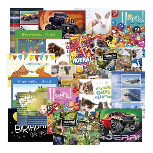 [1469447] Beloningsposter-kaart De Stulp thema felicitatie A4 assorti