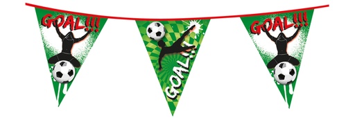 [1465890] Vlaggenlijn Haza goal! 10 meter
